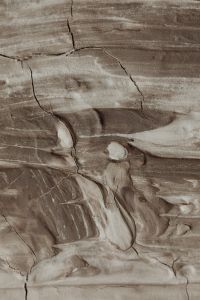 Kaboompics - Macro Beige Brush Texture Split by Irregular Cracks