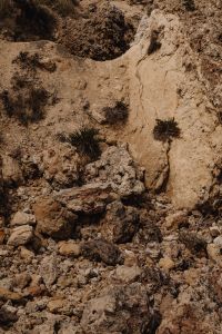 Kaboompics - Low Mediterranean Shrubs on an Eroded Limestone Slope