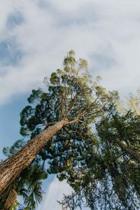 Kaboompics - The Buen Retiro Park in Madrid, Spain