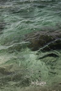 Kaboompics - Rocky Seafloor beneath a Textured Turquoise Water Surface