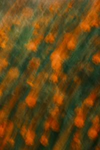Kaboompics - Orange Floral Motion Blur Texture