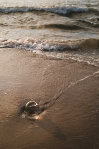 Kaboompics - Small Glass Sphere on Wet Sand