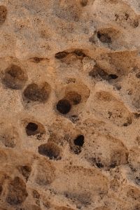 Kaboompics - Pale Pitted Rock Texture with Rounded Natural Cavities