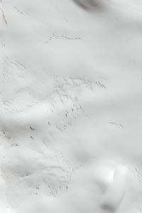 Kaboompics - Soft Gray Veining and Brush Strokes across White Painted Wall Texture, Vertical Macro