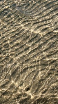 Kaboompics - Clear Shallow Sea Water Over A Rippled Sandy Seabed