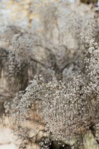 Kaboompics - Real Jardin Botanico, Madrid, Spain