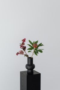 Kaboompics - Hellebores and Protea in a Black Vase Against White