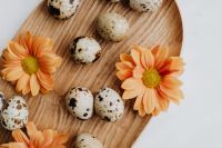 Kaboompics - Speckled Quail Eggs with Orange Gerbera Flowers on a Wooden Tray for Easter Styling