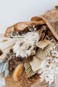 Kaboompics - Vertical Neutral Floral Still Life with Pampas Grass, Dried Blooms and Generous Copy Space