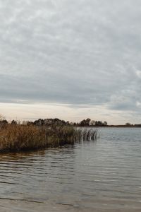 Kaboompics - Calm Lake with Reeds Under a Cloudy Autumn Sky