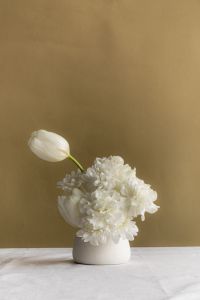 Kaboompics - White Flower Bouquet in Small White Vase