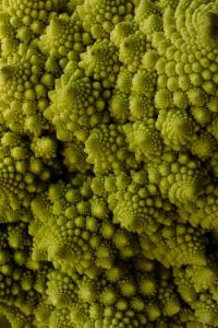 Kaboompics - Romanesco Cauliflower Macro with Repeating Spiral Texture