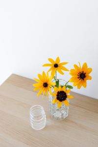 Kaboompics - Yellow Rudbeckia Arrangement With Spare Glass Vase