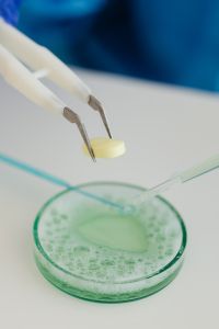 Kaboompics - Science Class Experiment With Tablet and Petri Dish