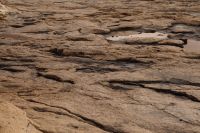 Kaboompics - Layered Coastal Rock Shelf with Shallow Tide Pools