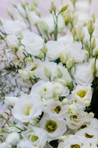 Kaboompics - White Eustoma, commonly known as lisianthus or prairie gentian