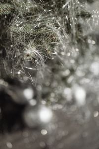 Kaboompics - Glittering Silver Tinsel with Blurred Balloons