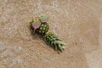 Kaboompics - Pineapple with sunglasses on the beach
