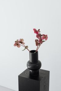 Kaboompics - Burgundy Hellebore Stems in a Rounded Black Vase
