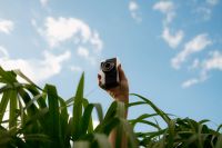 Kaboompics - Vintage Film Camera Raised Against A Blue Sky