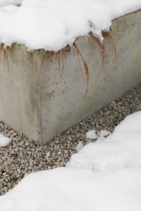 Kaboompics - Snow Covered Concrete Planter with Hanging Dry Grass