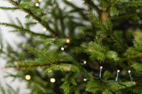 Kaboompics - Christmas Tree Branches with Warm Decorative Lights
