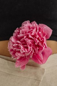 Kaboompics - Large Pink Peony Held against a Soft Beige Interior