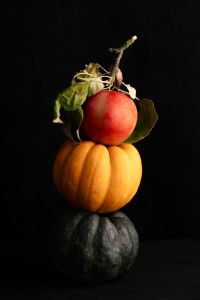 Kaboompics - Red Apple Balanced on Autumn Pumpkins