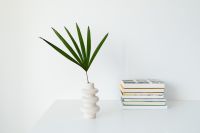 Kaboompics - Minimal Books and Palm Leaf Vase on a White Table