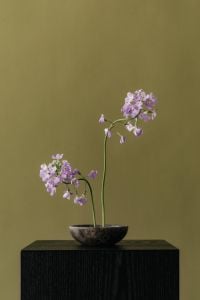 Kaboompics - Light Purple Flowers in a Dark Bowl on Black Pedestal