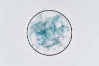 Kaboompics - Blue Microplastic Fragments in a Glass Petri Dish, Top-Down Environmental Pollution Research Image on White Background