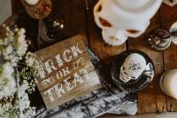 Kaboompics - Halloween Trick or Treat Flat Lay with Skull Decor and Dried Flowers
