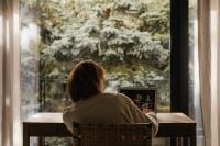Kaboompics - Woman Working at Laptop With Forest View From Window