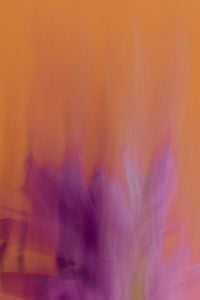 Kaboompics - Purple Flower Motion Blur With Orange Copy Space