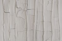 Kaboompics - White Peeling Paint Texture with Long Vertical Cracks