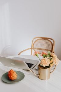 Kaboompics - Laptop, Carnations and Kiwano Fruit on a White Desk