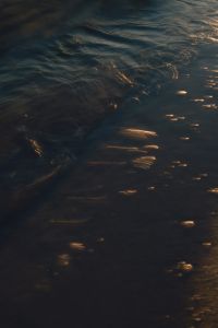 Kaboompics - Dark Water Texture Golden Light Reflections