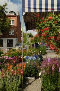 Kaboompics - Colorful Flower Stall at a Farmers Market