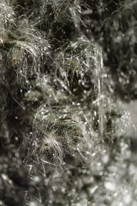 Kaboompics - Soft Focus Silver Tinsel and Balloons on a Christmas Tree