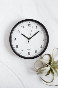 Kaboompics - Clock & Tillandsia on White Background