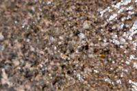 Kaboompics - Pebble Beach Water Texture with Sparkling Ripples and Shoreline Stones
