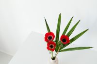 Kaboompics - Red Poppies and Palm Fronds in a Sculptural White Vase, Minimalist Floral Home Decor