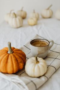 Kaboompics - Coffee Cup with Orange Pumpkin and White Mini Pumpkin