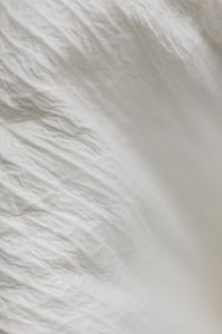 Kaboompics - Cloud Dancer Soft White Fur and Textile Texture