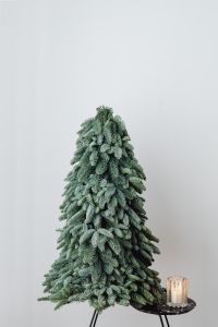 Kaboompics - Natural Christmas Tree and Lantern by Sofa