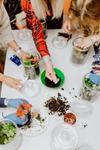 Kaboompics - Hands Gathering Around a Table to Plant Miniature Glass Terrarium Gardens