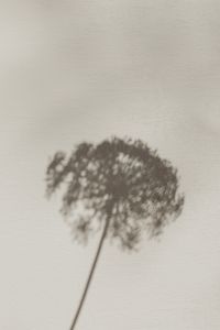 Kaboompics - Bright and warm free backgrounds or wallpapers