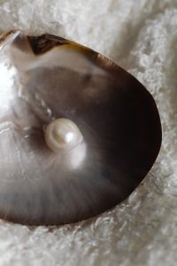 Kaboompics - Pearl on Dark Fan-Shaped Seashell Against White Fabric