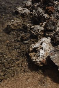 Kaboompics - White Buckle Pumps Styled on Rocks beside Clear Water
