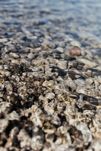 Kaboompics - Close-Up Wet Stones and Rippling Water Texture